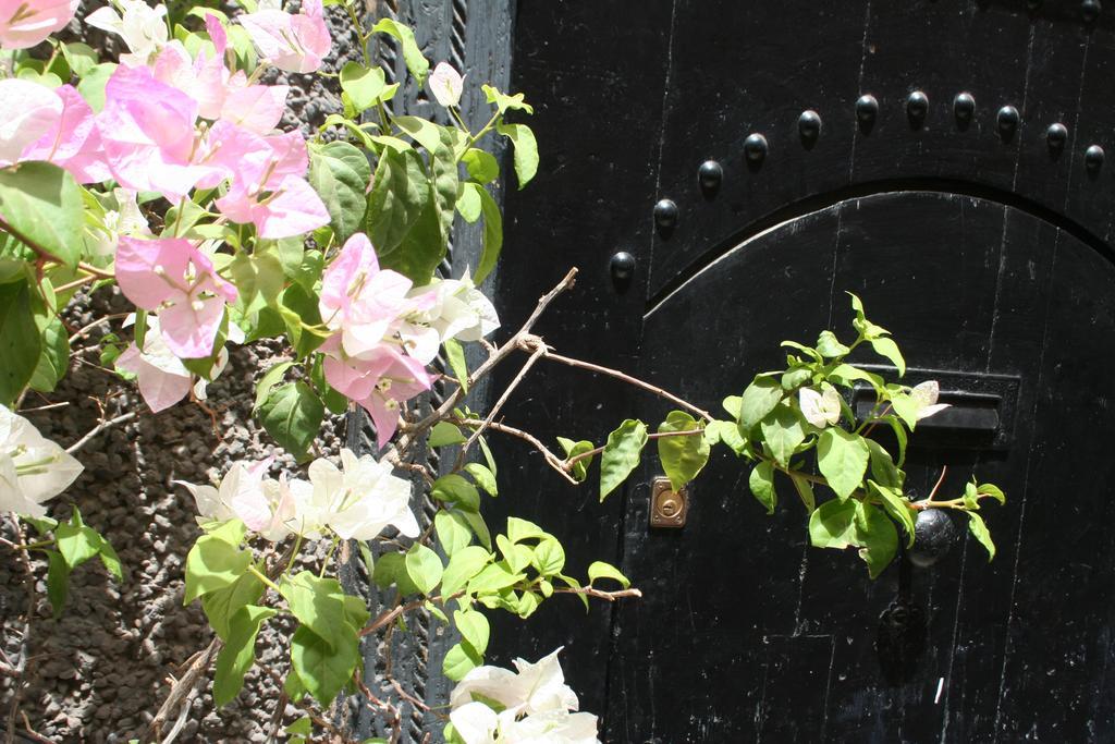 Riad Alghani Marrakesh Exterior foto